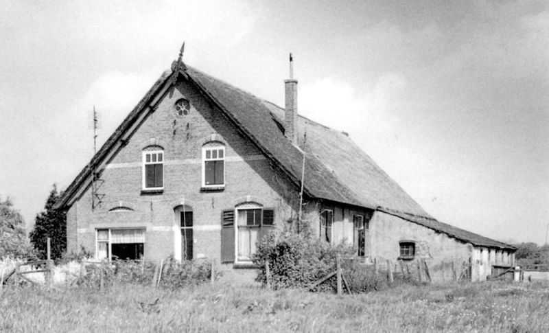 Bestand:Grote Eker.jpg